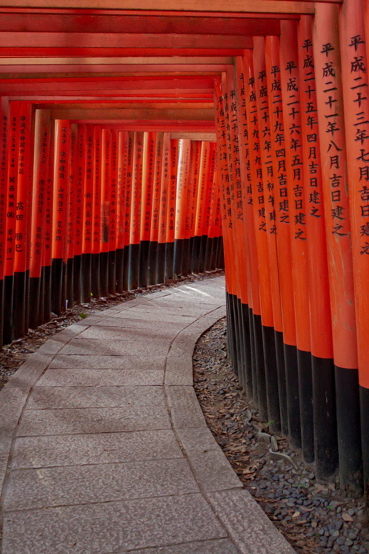 Vermillion torii gates at Fushimi Inari shrine