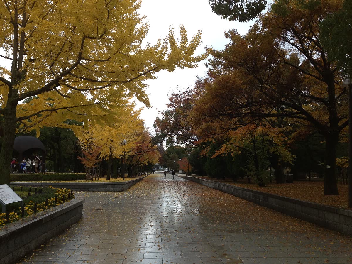 Hiroshima Peace Memorial Park with autumn foliage