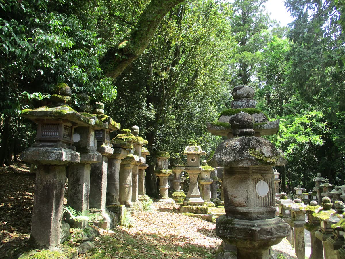Stone lanterns at Kasuga Taisha shrine