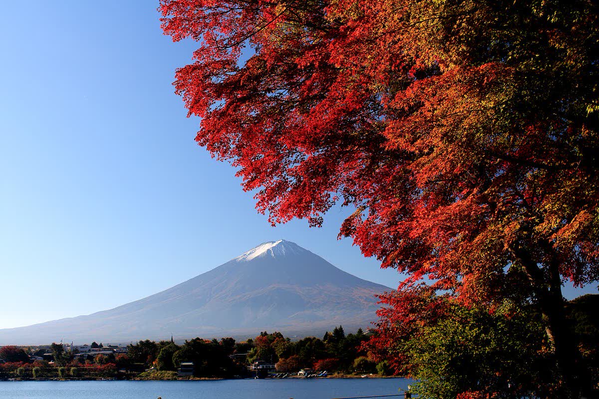 Kawaguchiko lakeside